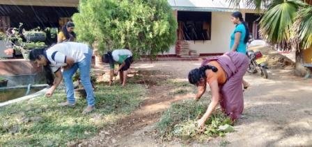 Home gardening program implemented in the office premises